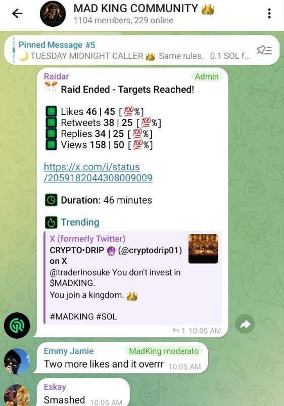 Telegram Raid Proof